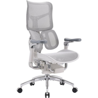 Sihoo Doro S300 Mesh Light Gray