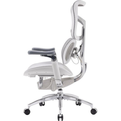 Sihoo Doro S300 Mesh Light Gray