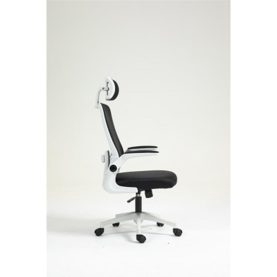 Крісло ігрове AULA F526 Gaming Chair Black