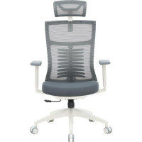 OfficePro Balance OC550-W-DG-DG White/Dark Gray