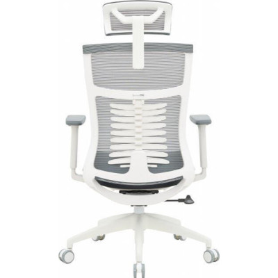 OfficePro Balance OC550-W-DG-DG White/Dark Gray