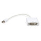 Mini DisplayPort (M) - DVI(24+5) (F)
