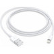 Lightning Apple Lightning to USB Cable 2m (MD819)