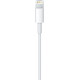 Lightning Apple Lightning to USB Cable 2m (MD819)