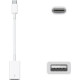 Apple USB-C to USB Adapter (MJ1M2)