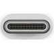 Apple USB-C to USB Adapter (MJ1M2)