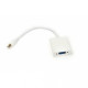 PowerPlant Mini DisplayPort - VGA, 0.15m (KD00AS1281)