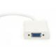 PowerPlant Mini DisplayPort - VGA, 0.15m (KD00AS1281)