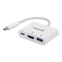 Manhattan 4-in-1 Docking Converter (152945)