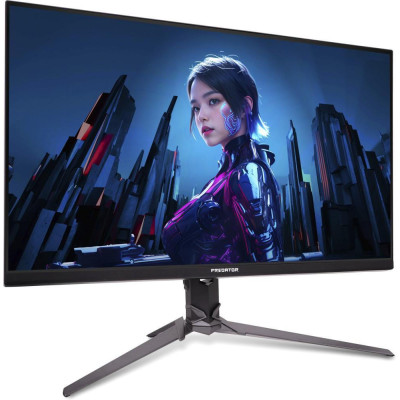 Acer Predator XB273UX1bmiiprx (UM.HX3EE.111)