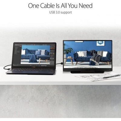 Asus Portable MB165B black (90LM0703-B01170)