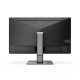 Philips 439P1/00, 439P1/01