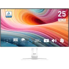 MSI Pro MP251W E2