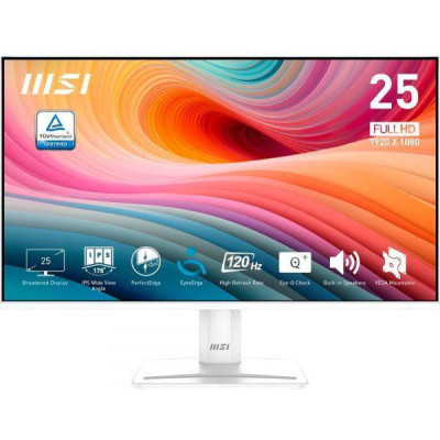 MSI Pro MP251W E2