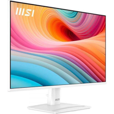MSI Pro MP251W E2