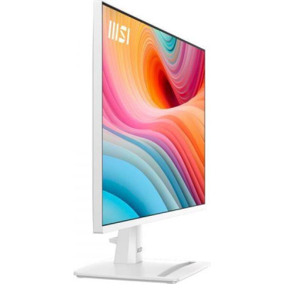 MSI Pro MP251W E2