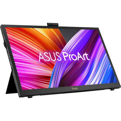Asus ProArt PA169CDV (90LM0711-B01I70)