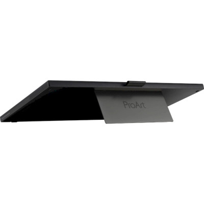 Asus ProArt PA169CDV (90LM0711-B01I70)