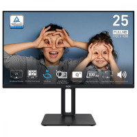 MSI Pro MP251P (9S6-3PC29M-016)