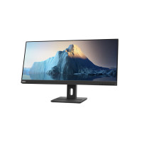 Lenovo ThinkVision E29w-20 (62CEGAT3UA)