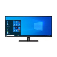 Lenovo ThinkVision P40w-20 (62C1GAT6UA)