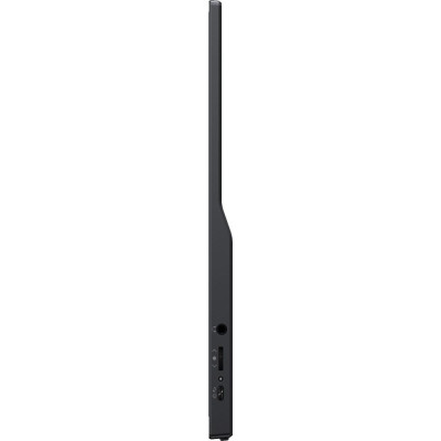 iiyama P1671HSC-B1