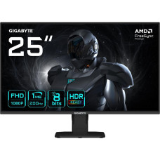 GIGABYTE GS25F2