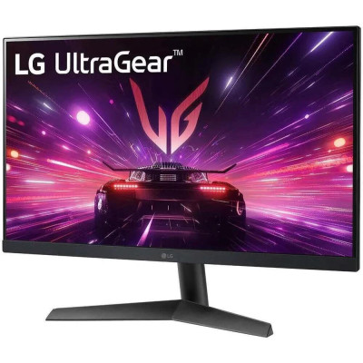 LG 24GS60F-B