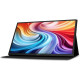 Acer PM161QTbmiuuux (UM.ZP1EE.007) 