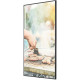 NEC Nec MultiSync C551 (60004238)