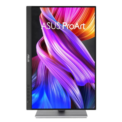 Asus ProArt PA248CNV (90LM05K1-B03370)