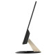 Asus VZ249HE