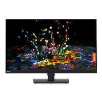 Lenovo ThinkVision P32p-20 (62A2GAT2UA)