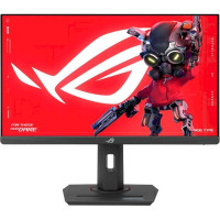 Asus 24.5