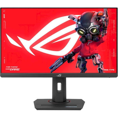 Asus 24.5