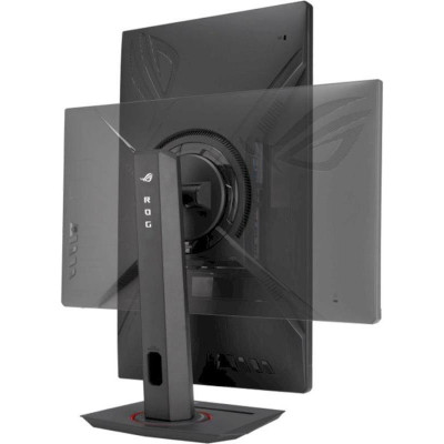 Asus 24.5