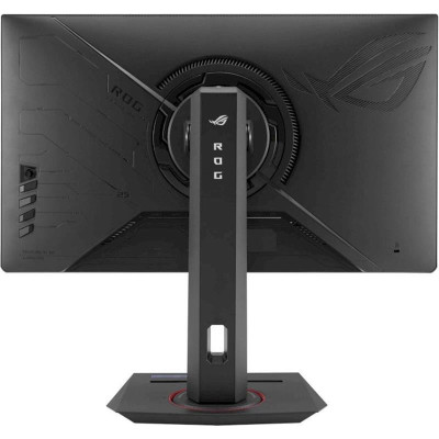 Asus 24.5