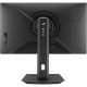 Asus 24.5