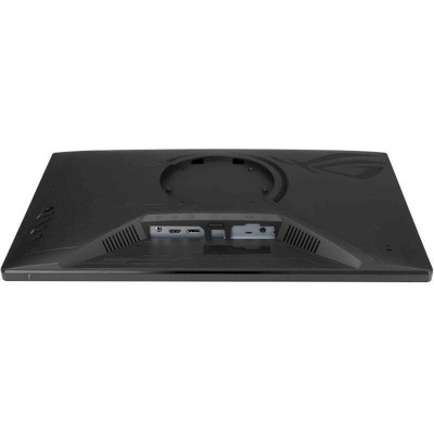 Asus 24.5