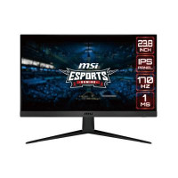 MSI G2412 (9S6-3BA41T-066)