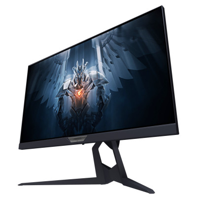 GIGABYTE AORUS FI25F