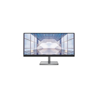 LENOVO L29w-30 (66E5GAC3UA)