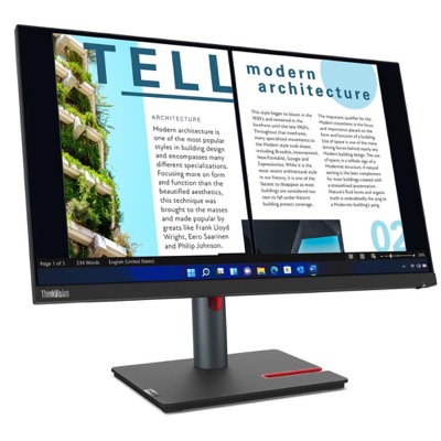 Lenovo ThinkVision P24h-30 (63B3GAT6UA)