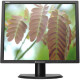 Lenovo ThinkVision LT1913p