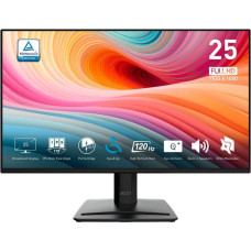 MSI Pro MP252 E2