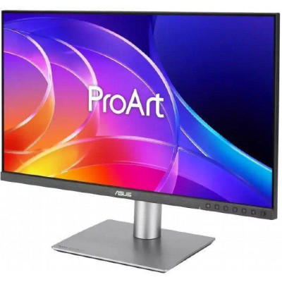 ASUS ProArt PA249CGV (90LM0031-B01K71)