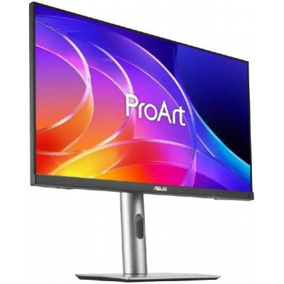 ASUS ProArt PA249CGV (90LM0031-B01K71)