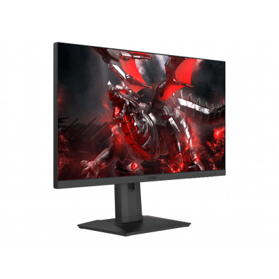 MSI OPTIX G251PF