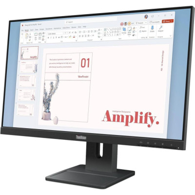 Lenovo ThinkVision E24-40 Raven Black (64BAMAT1UA)
