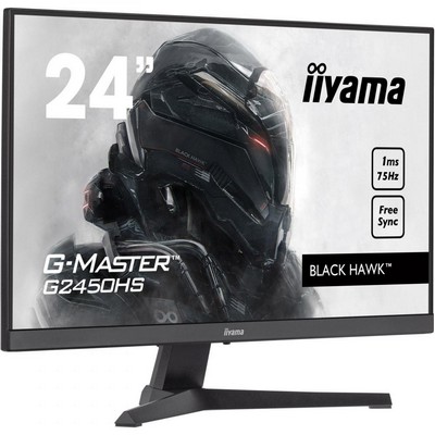 iiyama G-Master G2450HS-B1